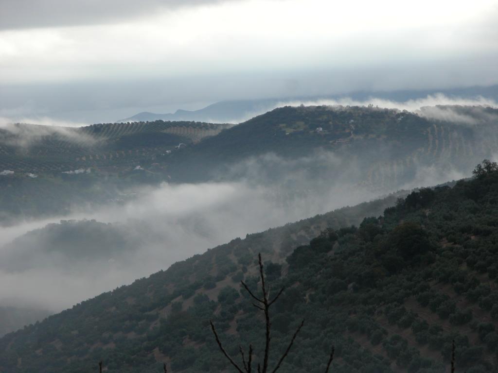 Cortijo La Haza Bed & Breakfast อิซนาฮาร์ ภายนอก รูปภาพ